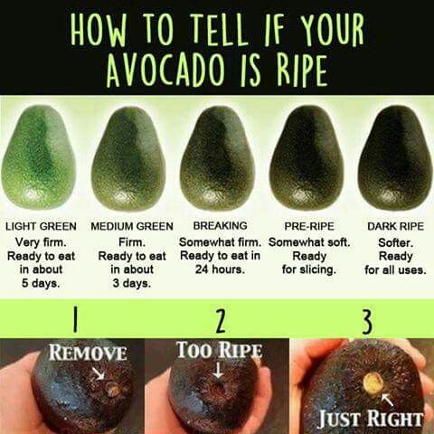 avocado-ripeness-chart